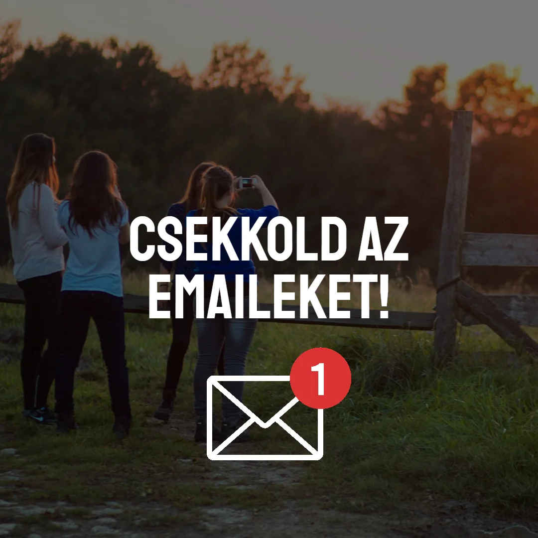 Kedves Résztvevők!